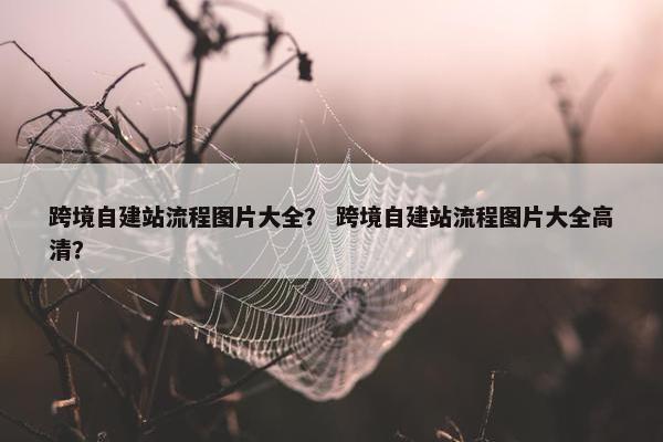 跨境自建站流程图片大全？ 跨境自建站流程图片大全高清？