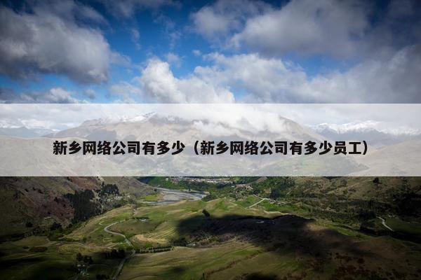 新乡网络公司有多少（新乡网络公司有多少员工）