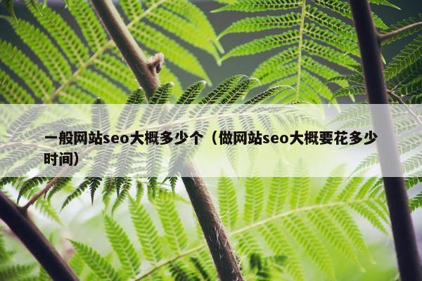 一般网站seo大概多少个（做网站seo大概要花多少时间）