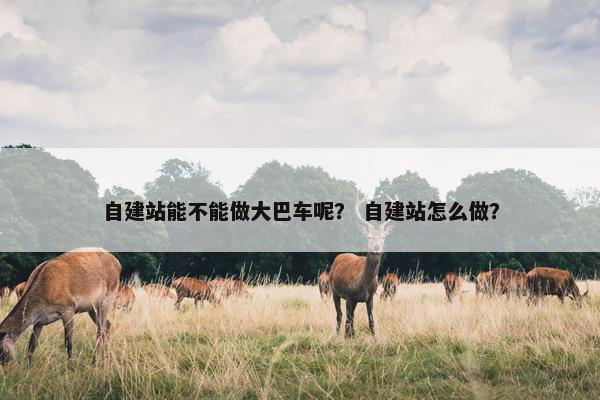 自建站能不能做大巴车呢？ 自建站怎么做？