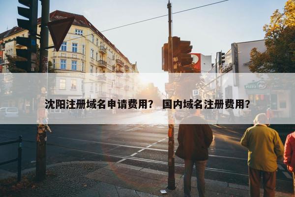 沈阳注册域名申请费用？ 国内域名注册费用？