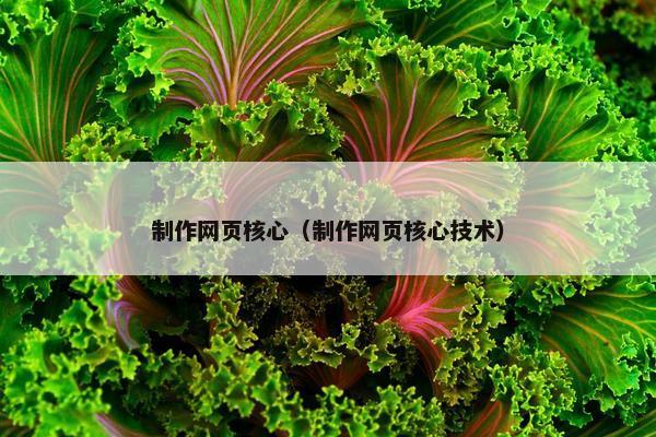 制作网页核心（制作网页核心技术）