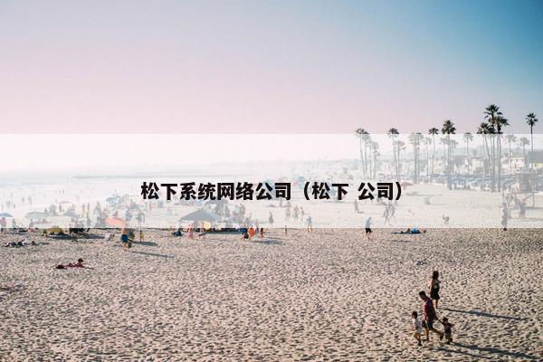 松下系统网络公司（松下 公司）
