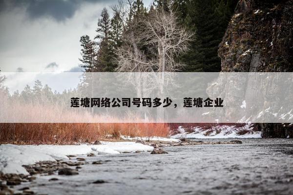 莲塘网络公司号码多少，莲塘企业