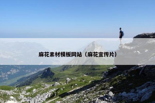 麻花素材模板网站（麻花宣传片）