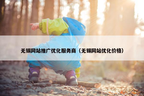 无锡网站推广优化服务商（无锡网站优化价格）