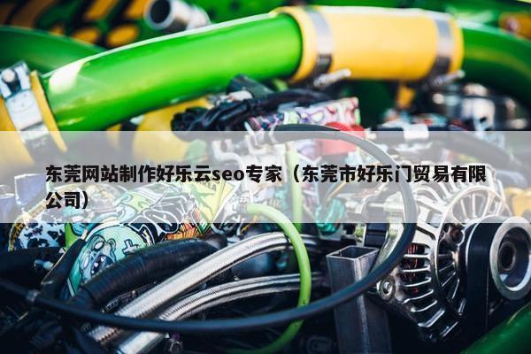东莞网站制作好乐云seo专家（东莞市好乐门贸易有限公司）
