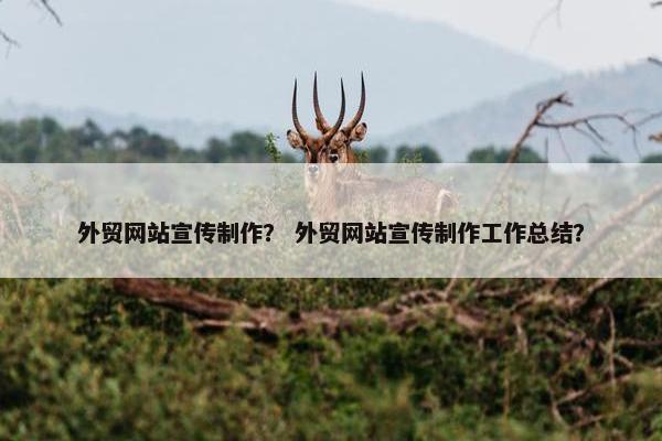 外贸网站宣传制作？ 外贸网站宣传制作工作总结？