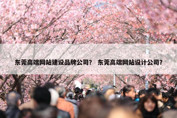东莞高端网站建设品牌公司？ 东莞高端网站设计公司？