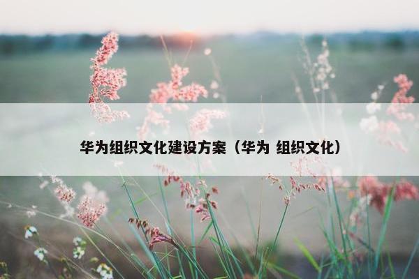 华为组织文化建设方案（华为 组织文化）