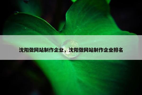 沈阳做网站制作企业，沈阳做网站制作企业排名