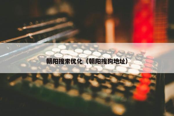 朝阳搜索优化（朝阳搜狗地址）