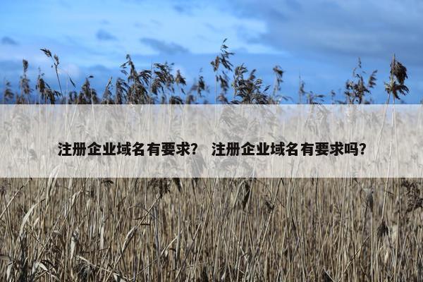 注册企业域名有要求？ 注册企业域名有要求吗？