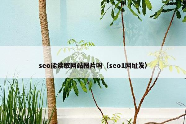 seo能读取网站图片吗（seo1网址发）
