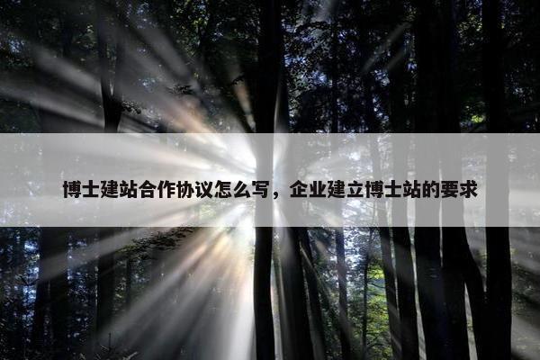 博士建站合作协议怎么写，企业建立博士站的要求