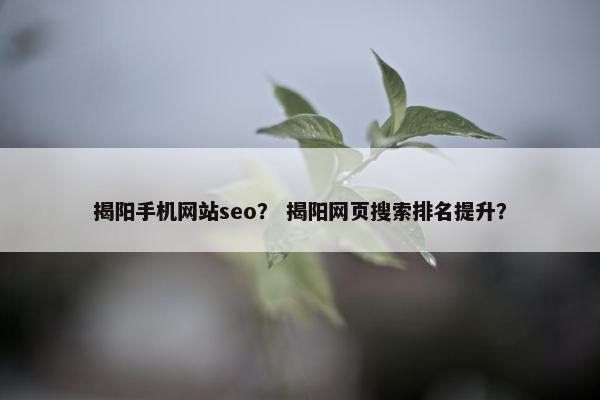 揭阳手机网站seo？ 揭阳网页搜索排名提升？
