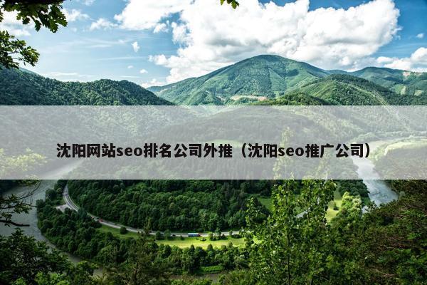 沈阳网站seo排名公司外推（沈阳seo推广公司）