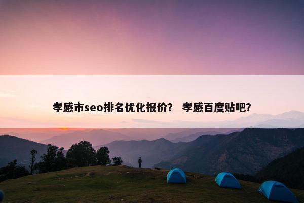 孝感市seo排名优化报价？ 孝感百度贴吧？