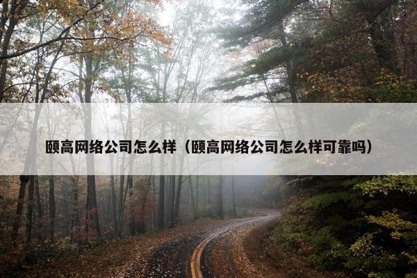 颐高网络公司怎么样（颐高网络公司怎么样可靠吗）