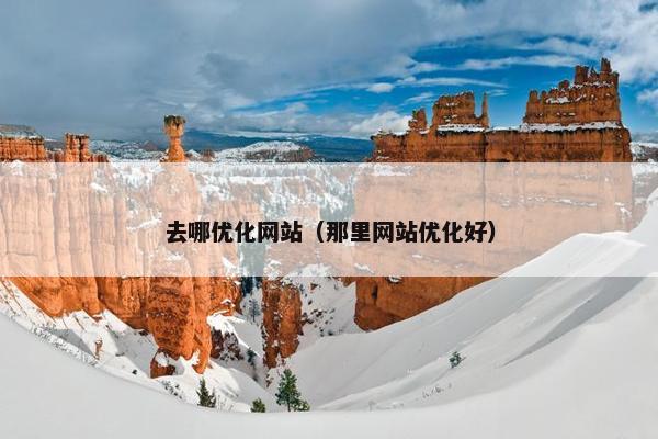 去哪优化网站（那里网站优化好）