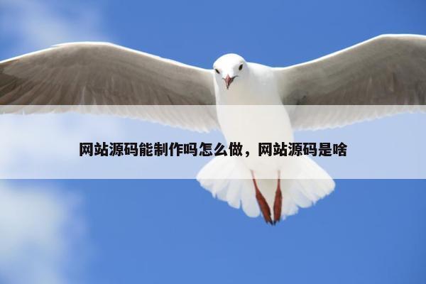 网站源码能制作吗怎么做，网站源码是啥