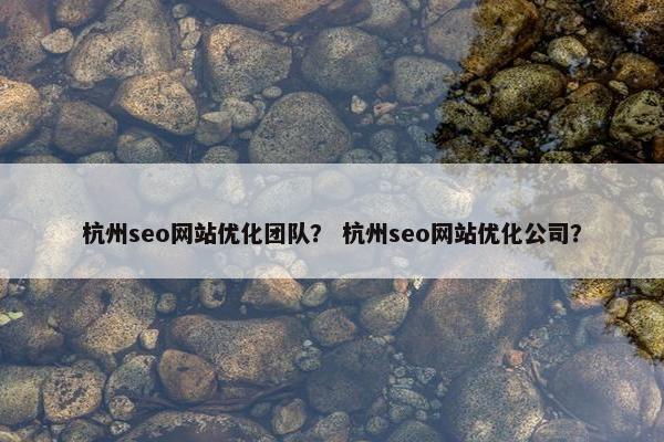 杭州seo网站优化团队？ 杭州seo网站优化公司？
