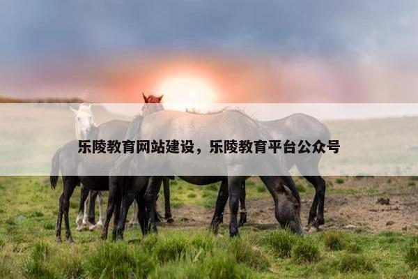乐陵教育网站建设，乐陵教育平台公众号