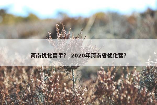 河南优化高手？ 2020年河南省优化营？