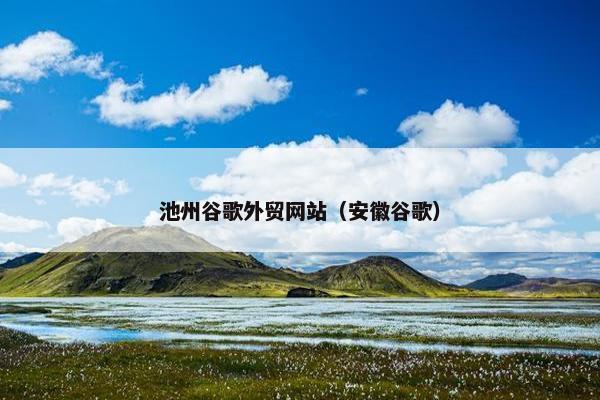 池州谷歌外贸网站（安徽谷歌）