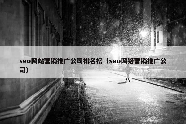 seo网站营销推广公司排名榜（seo网络营销推广公司）