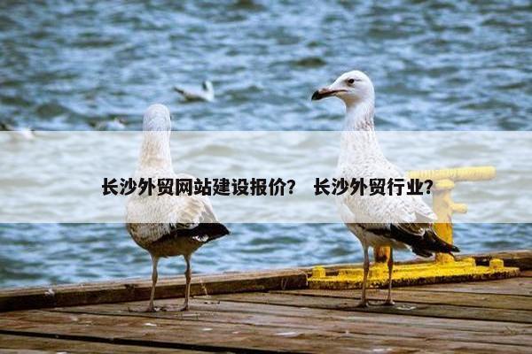 长沙外贸网站建设报价？ 长沙外贸行业？