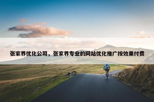 张家界优化公司，张家界专业的网站优化推广按效果付费