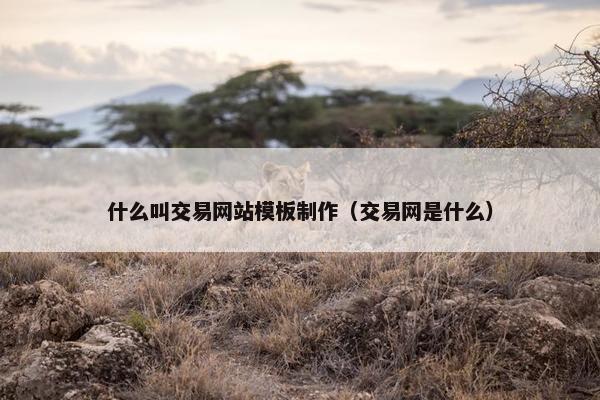 什么叫交易网站模板制作（交易网是什么）