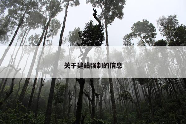 关于建站强制的信息