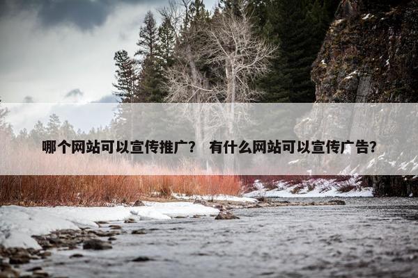 哪个网站可以宣传推广？ 有什么网站可以宣传广告？