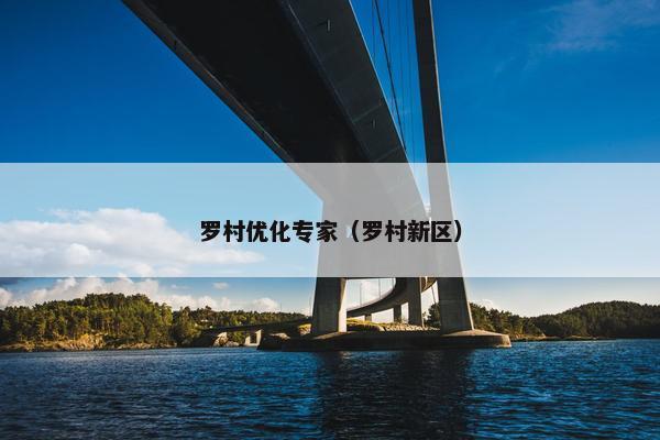 罗村优化专家（罗村新区）