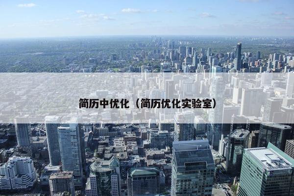 简历中优化（简历优化实验室）
