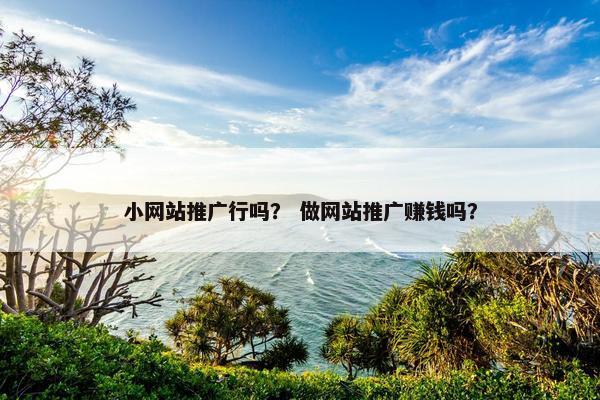 小网站推广行吗？ 做网站推广赚钱吗？