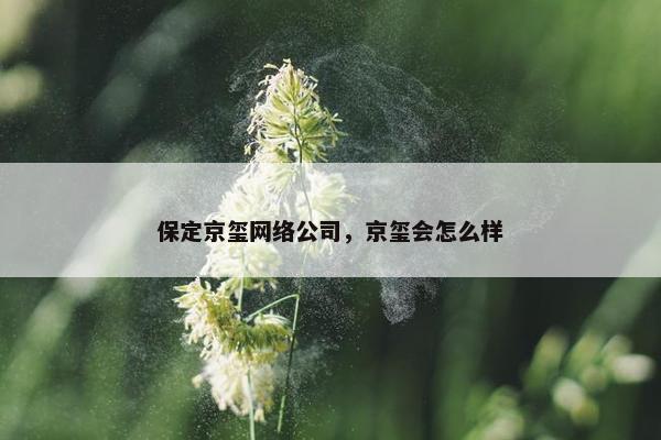 保定京玺网络公司，京玺会怎么样