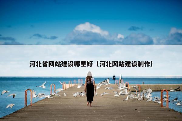 河北省网站建设哪里好（河北网站建设制作）