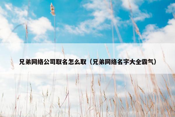 兄弟网络公司取名怎么取（兄弟网络名字大全霸气）