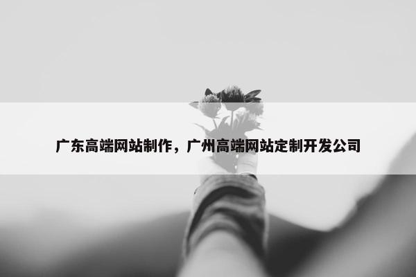 广东高端网站制作，广州高端网站定制开发公司