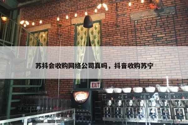 苏抖会收购网络公司真吗，抖音收购苏宁