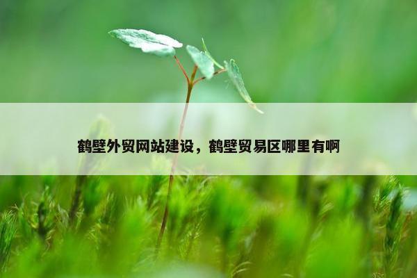 鹤壁外贸网站建设，鹤壁贸易区哪里有啊
