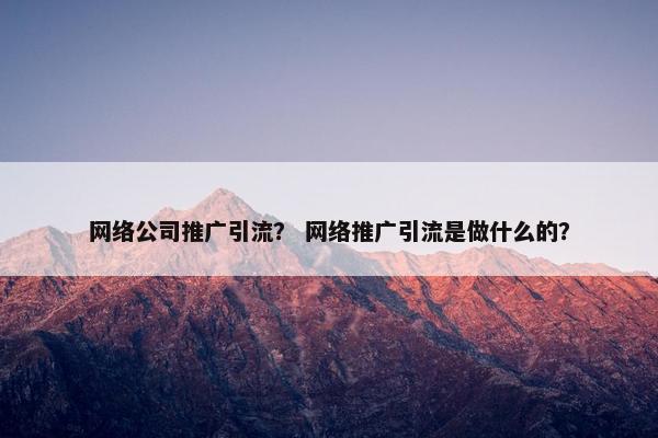 网络公司推广引流？ 网络推广引流是做什么的？
