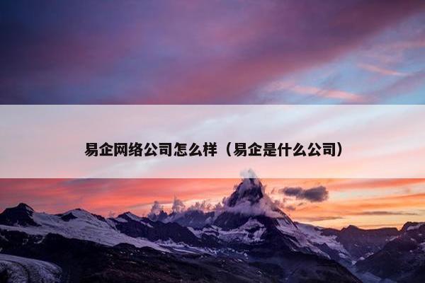 易企网络公司怎么样（易企是什么公司）