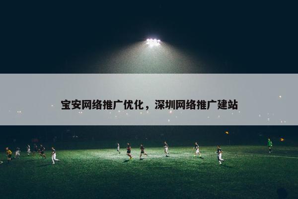 宝安网络推广优化，深圳网络推广建站