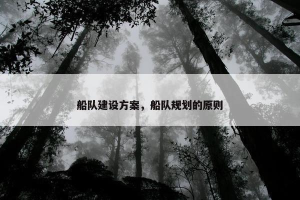 船队建设方案，船队规划的原则