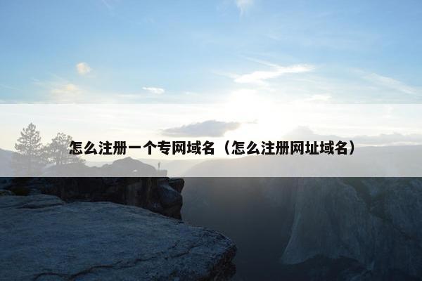 怎么注册一个专网域名（怎么注册网址域名）