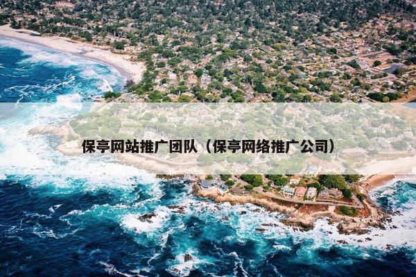 保亭网站推广团队（保亭网络推广公司）